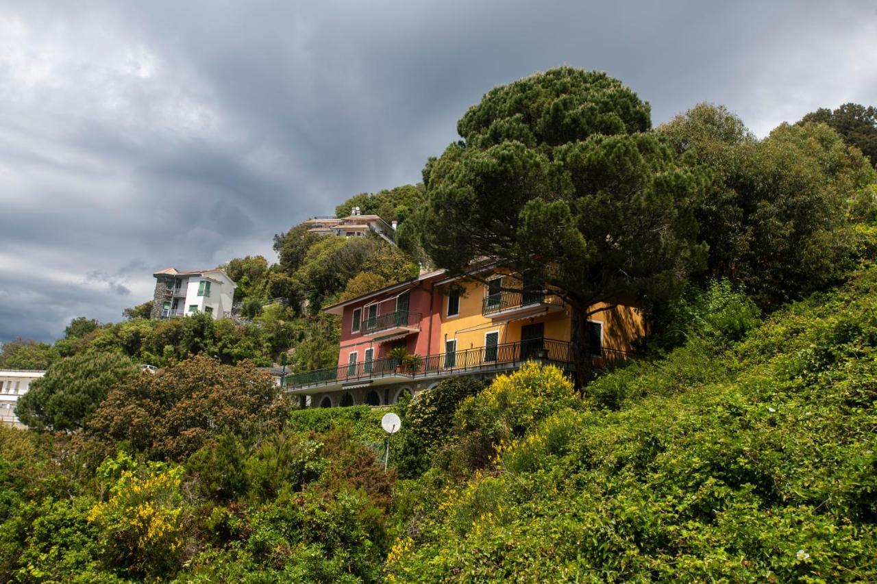 080 - La Villa Storica Il Vigneto 45B, Terrazza Sul Mare - Parcheggio Privato Gratis モネーリア エクステリア 写真